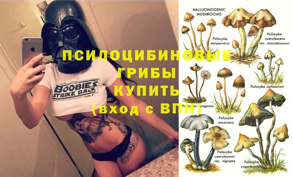 эйфоретик Алексеевка