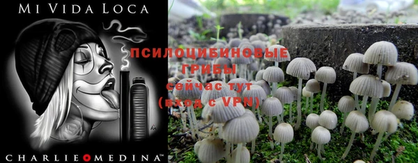 эйфоретик Алзамай