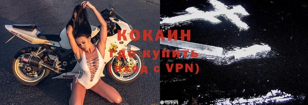 индика Саяногорск