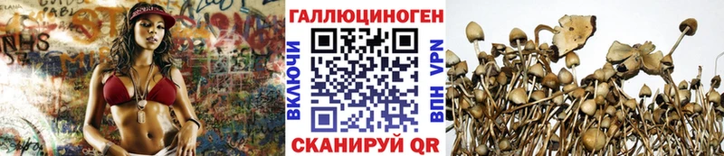 Псилоцибиновые грибы Magic Shrooms  mega онион  Осинники  как найти  